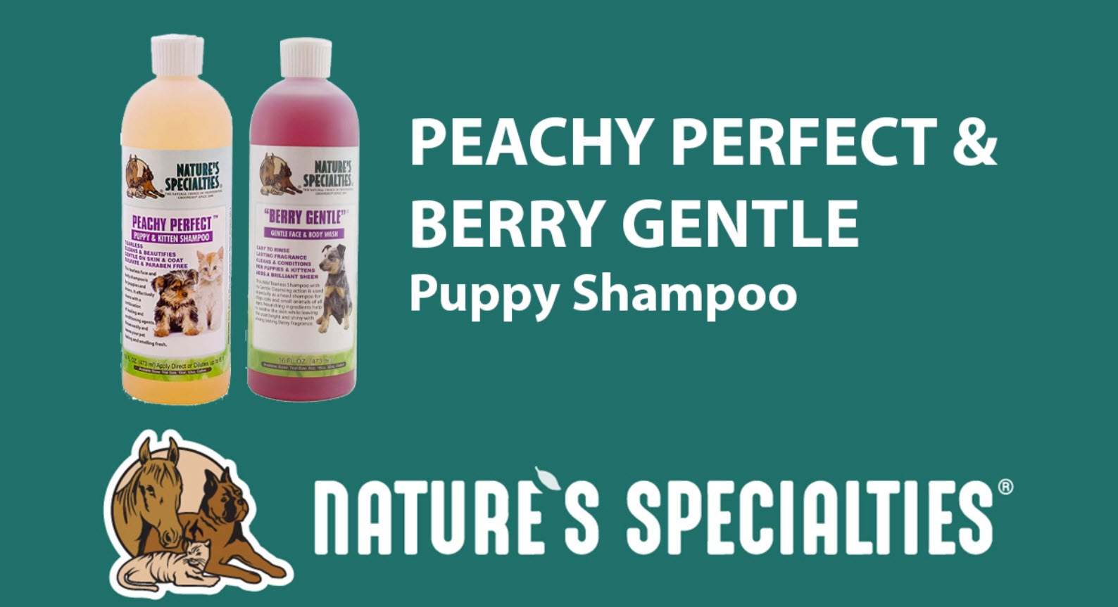 Amazon.com: Nature's Specialties Berry Gentle Ultra Concentrated